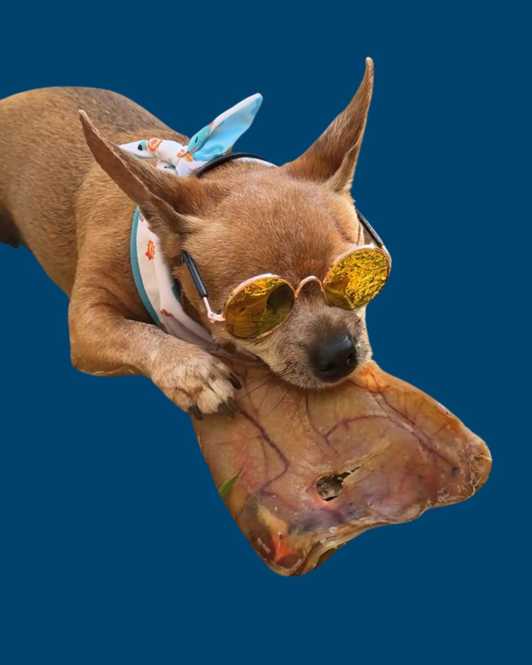 Oreja de Cerdo