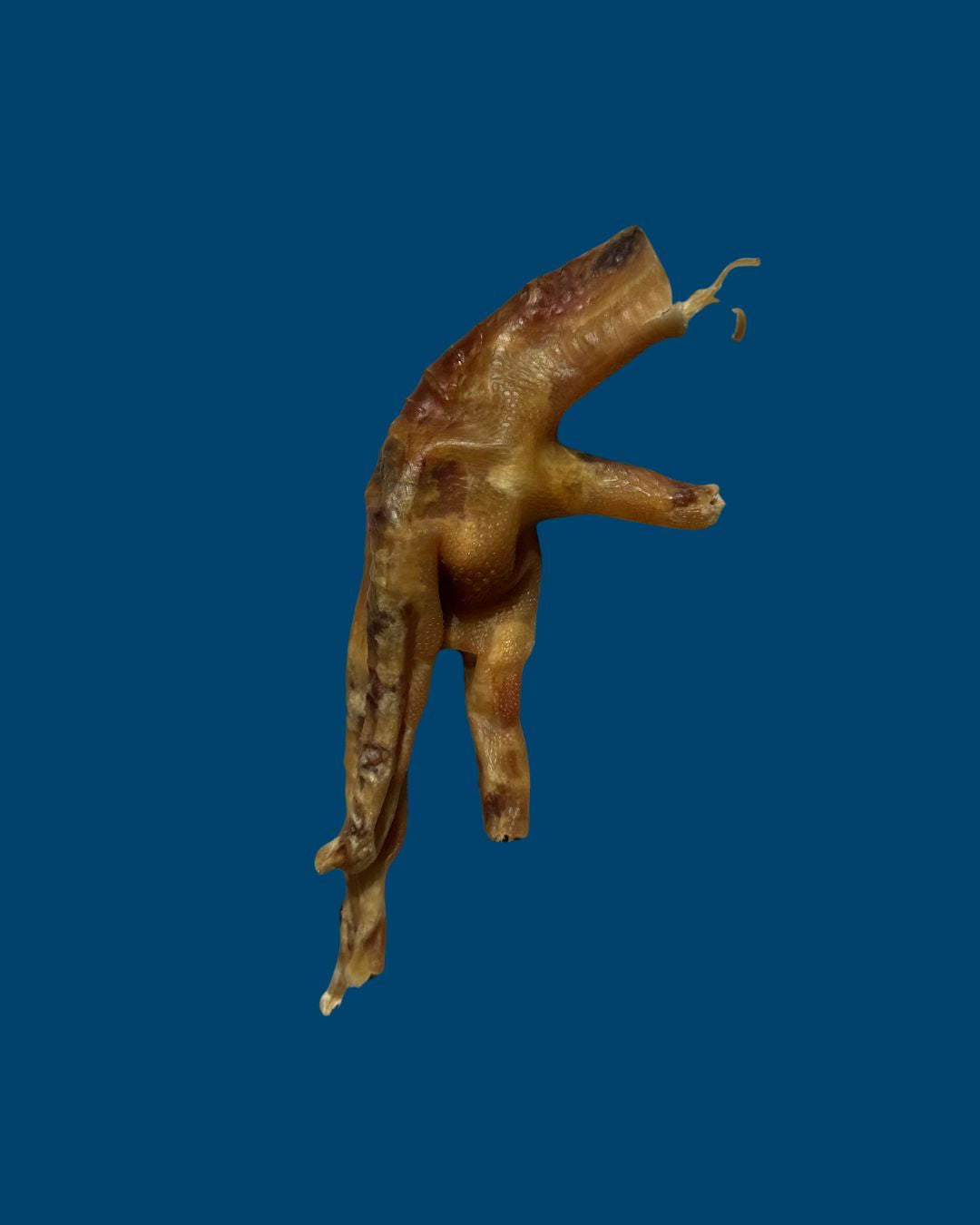 Patas de Pollo Deshidratadas
