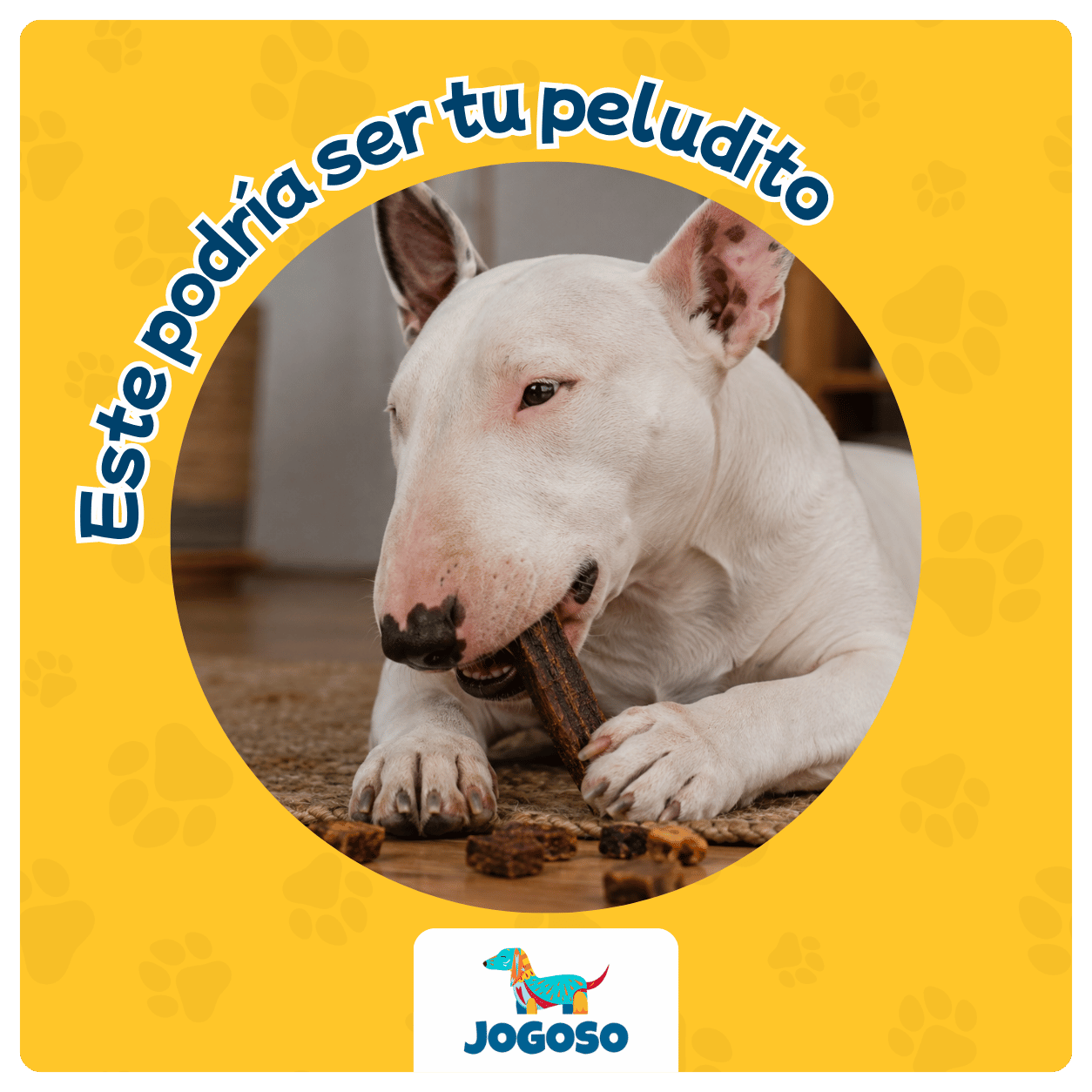 Mix de Hígado y Bofe de Res 250 g para Perros