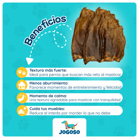 Oreja de Res Natural para Perros