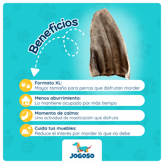 Oreja de Res con Pelo XL para Perros