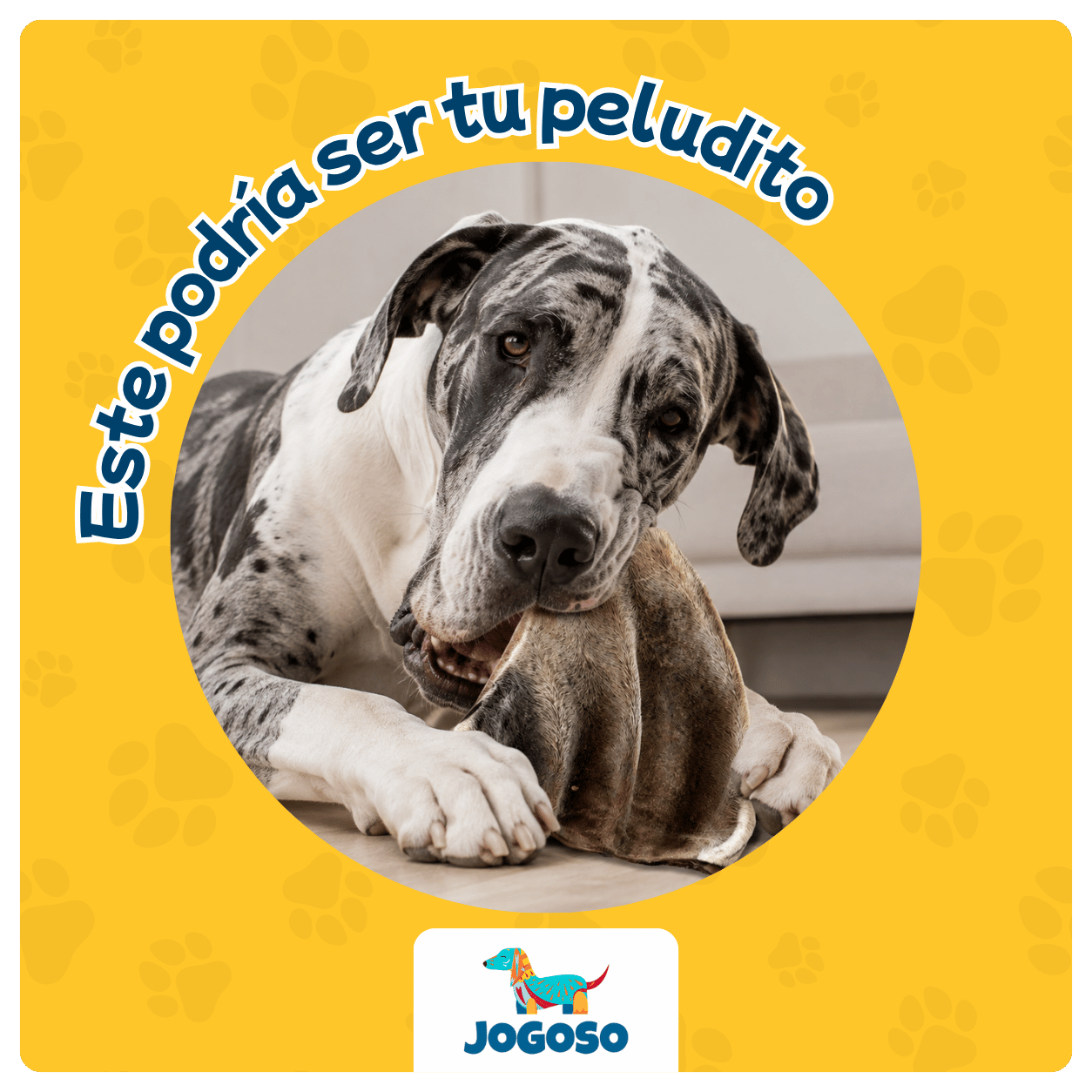 Oreja de Res con Pelo XL para Perros