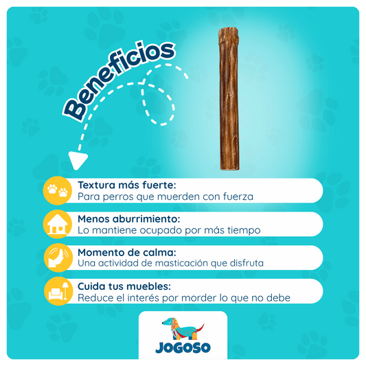 Bully Stick para Perros