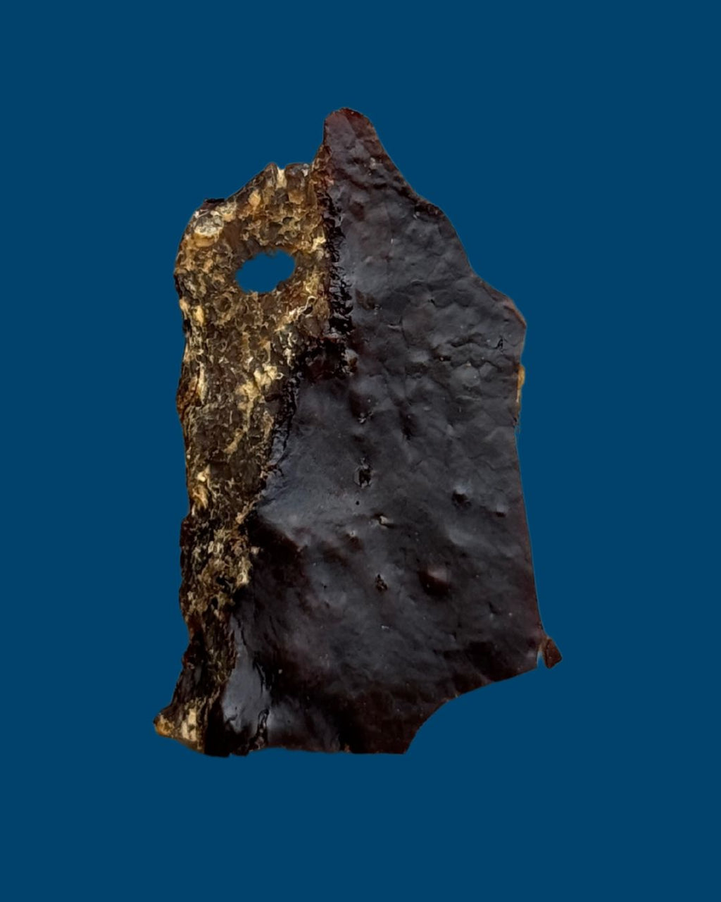 Hígado Deshidratado