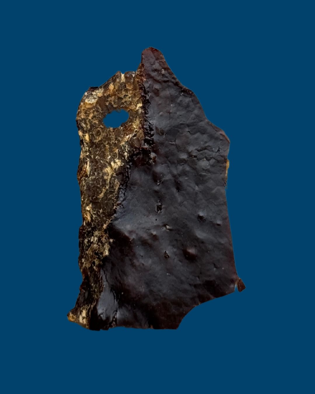 Hígado Deshidratado