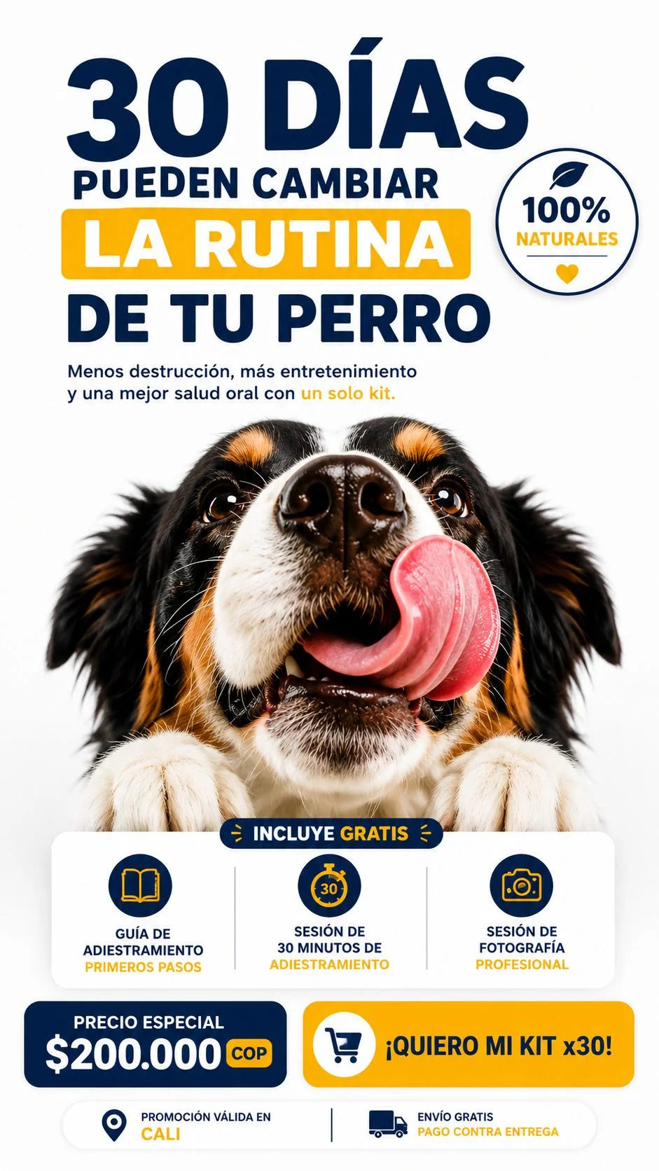 30 dias pueden cambiar la rutina de tu perro