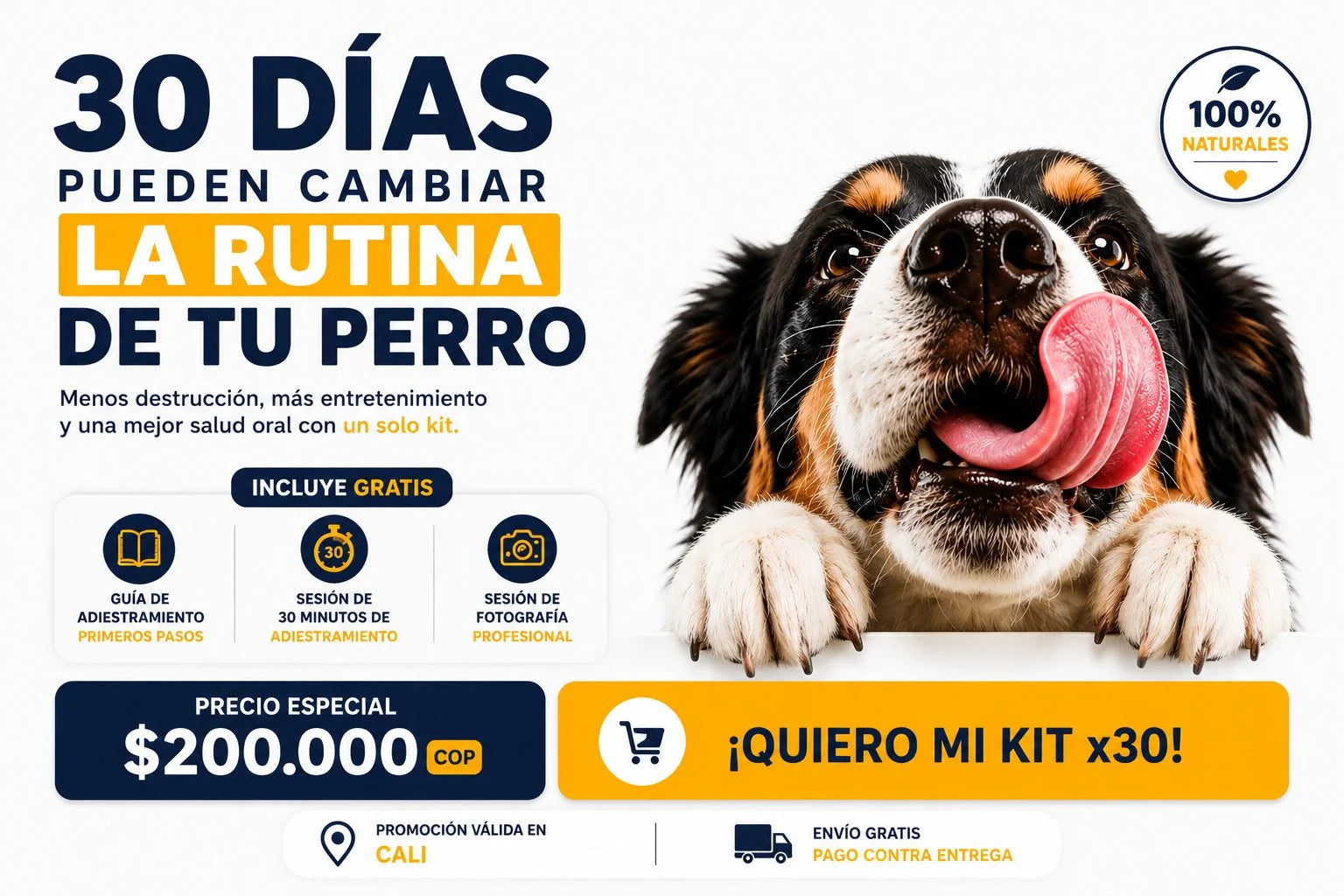 30 dias pueden cambiar la rutina de tu perro movil