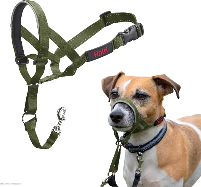 Ronzal (Collar-Bozal) Anti Jalones