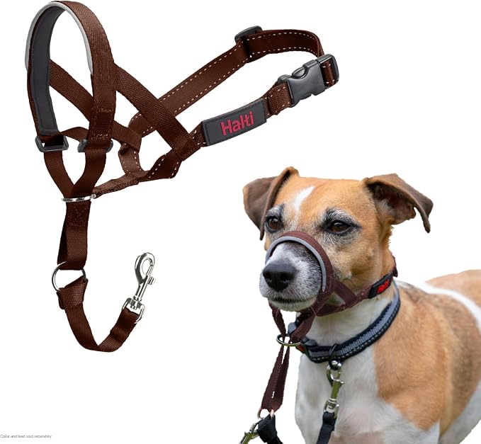 Ronzal (Collar-Bozal) Anti Jalones
