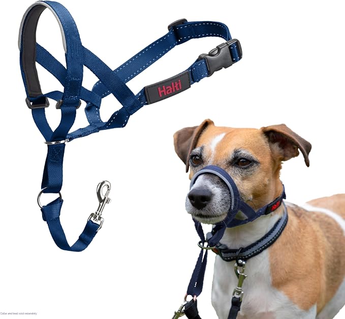 Ronzal (Collar-Bozal) Anti Jalones