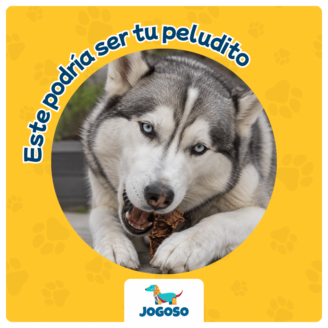 Bofe de Res Deshidratado para Perros