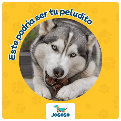 Bofe de Res Deshidratado para Perros