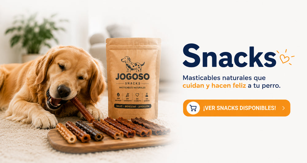 Snacks