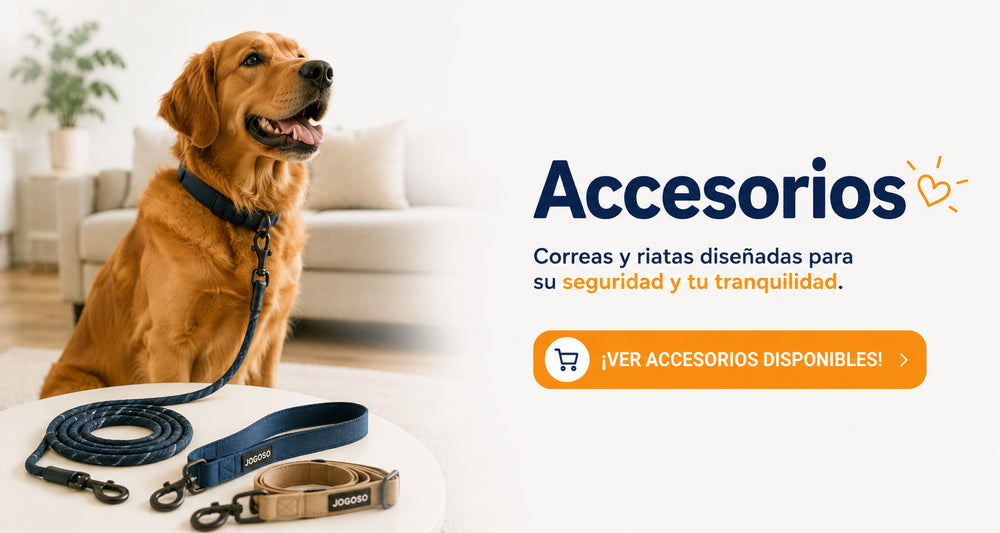 Accesorios