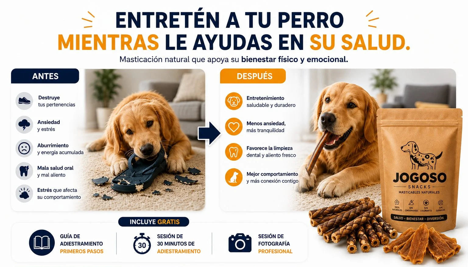 entreten a tu perro