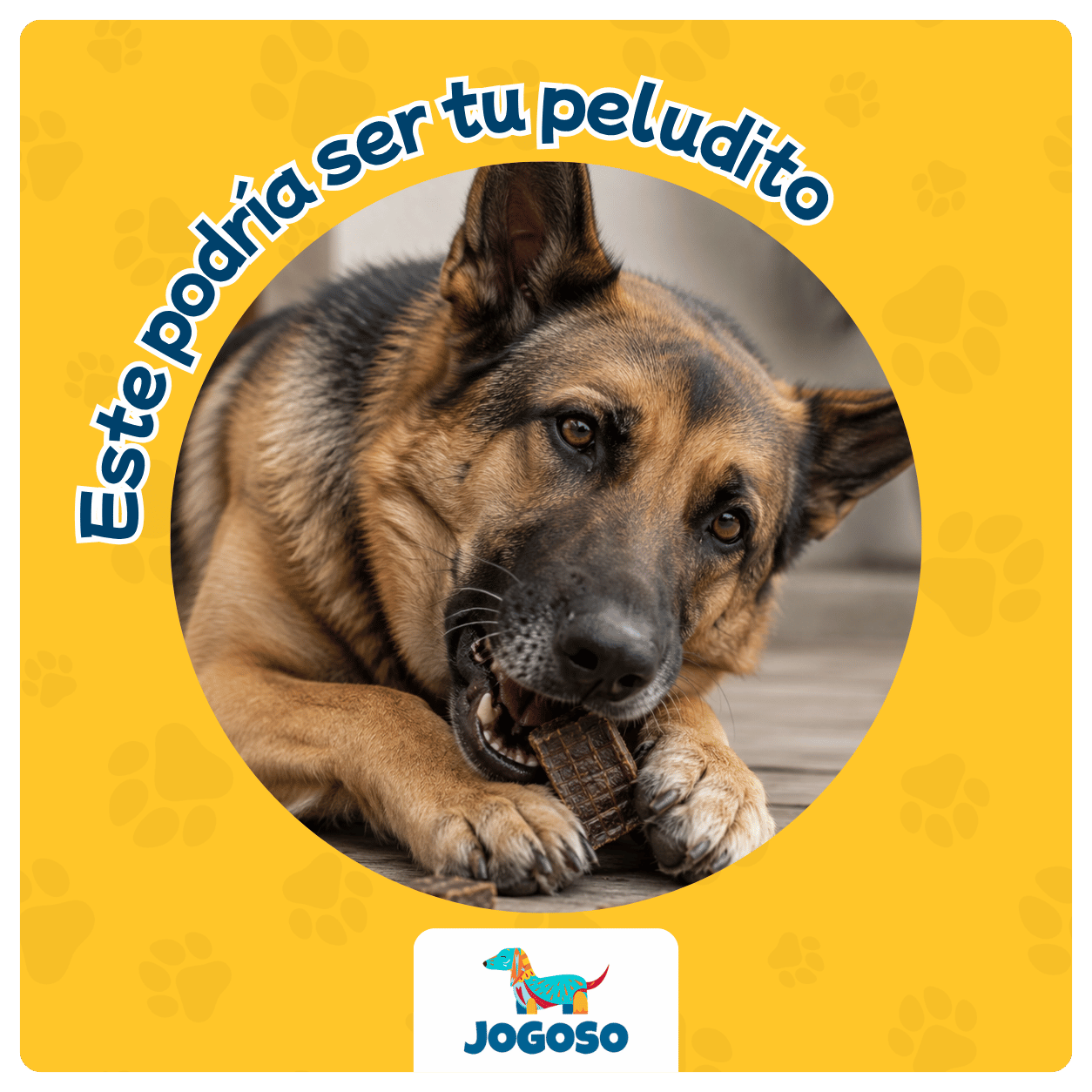 Hígado de Res Deshidratado 60 g para Perros