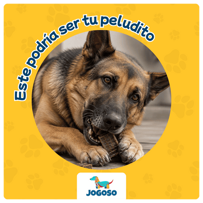 Hígado de Res Deshidratado 60 g para Perros