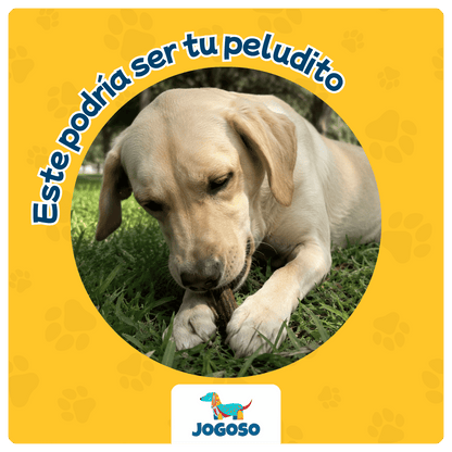 Esófago de Res Natural 6" para Perros