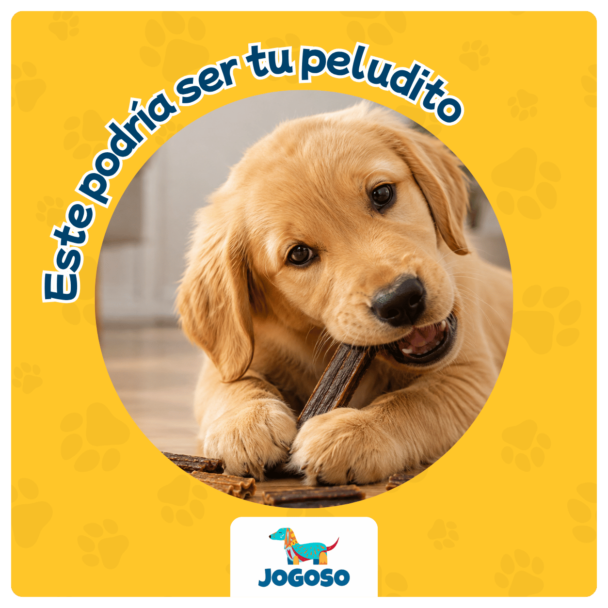 Mix de Esófagos y Venas de Res para Perros