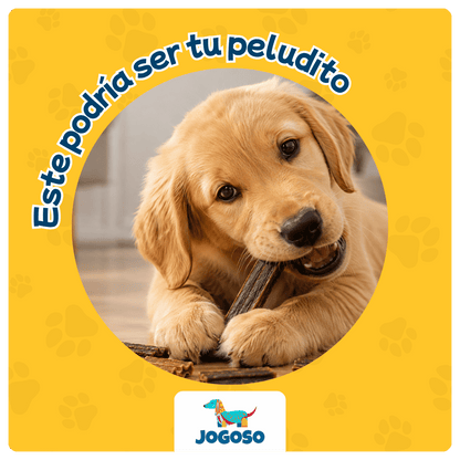 Mix de Esófagos y Venas de Res para Perros