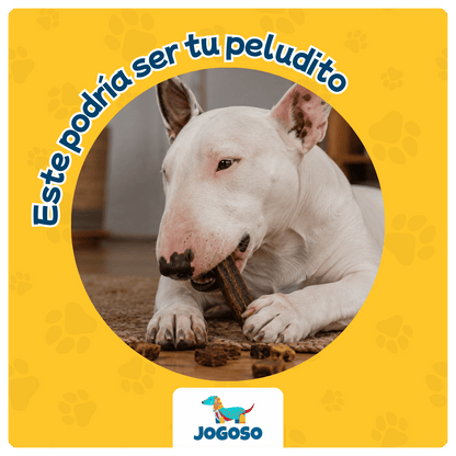 Mix de Hígado y Bofe de Res 250 g para Perros