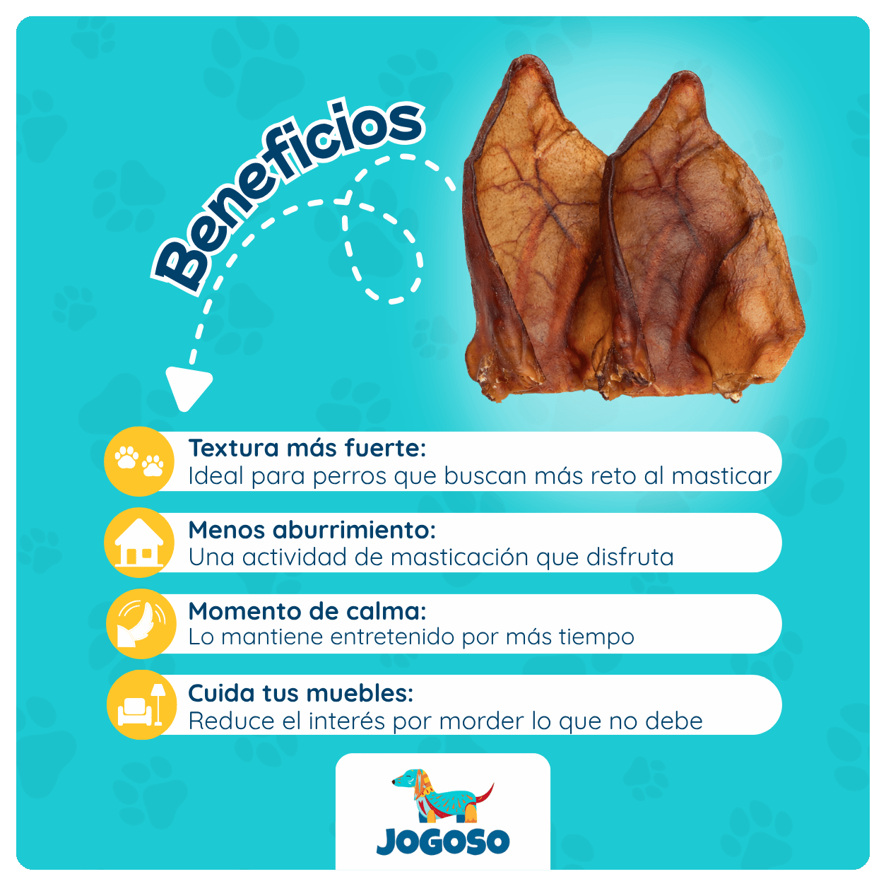 Oreja de Cerdo Natural para Perros