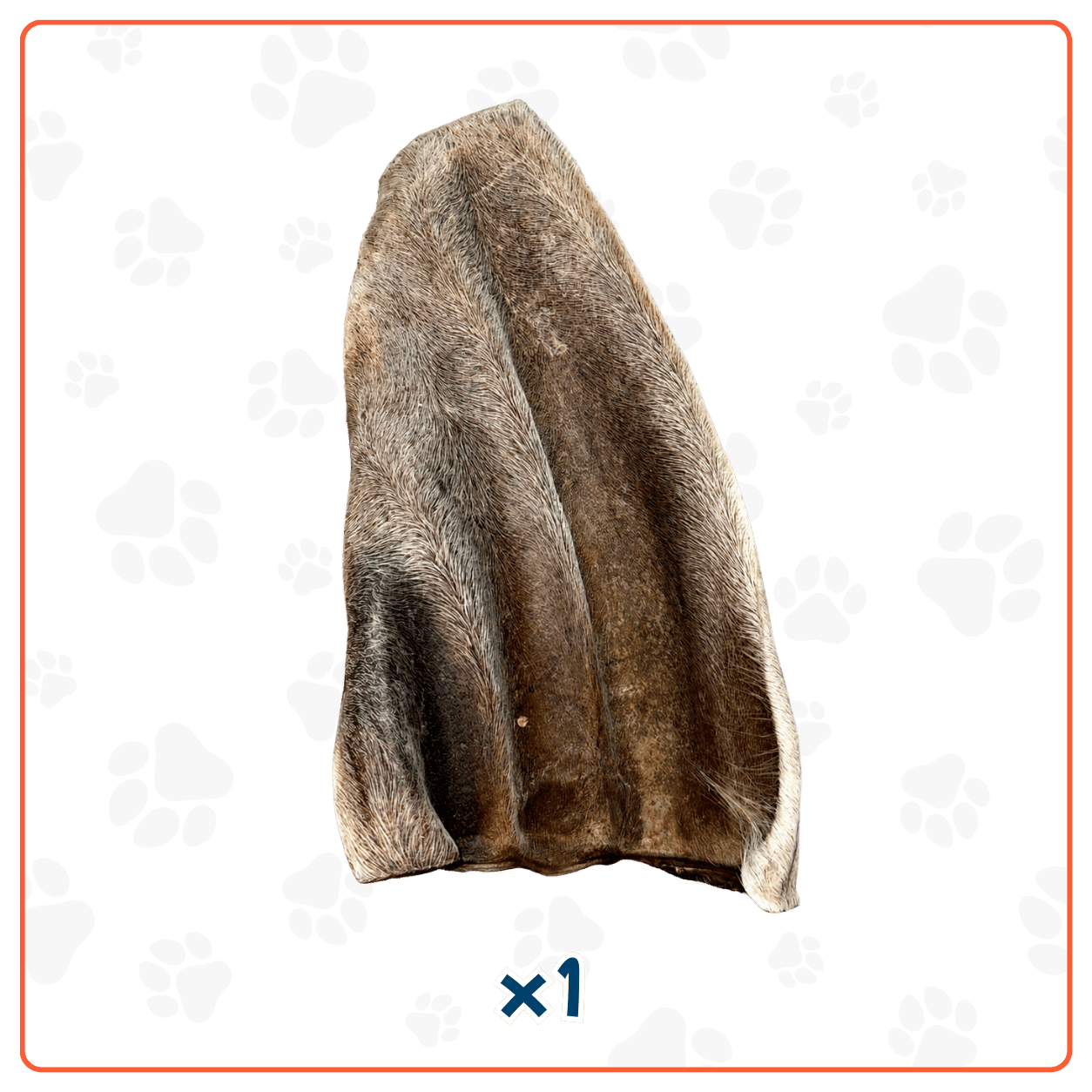 Oreja de Res con Pelo XL para Perros
