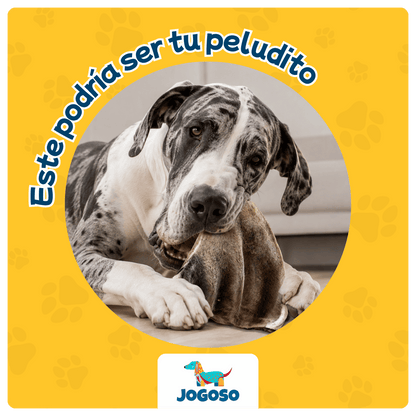 Oreja de Res con Pelo XL para Perros