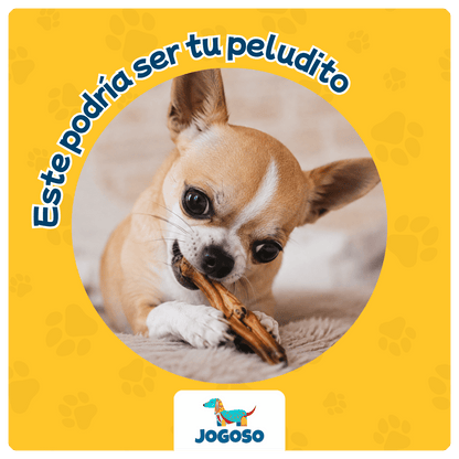Patas de Pollo Deshidratadas para Perros