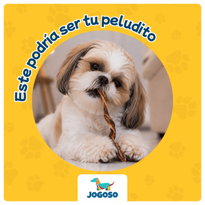 Rila de Res x10 Unidades para Perros
