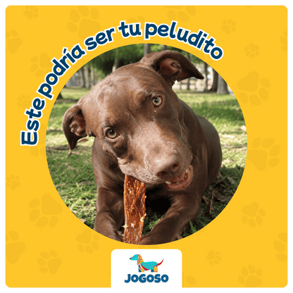 Rila de Res x10 Unidades para Perros