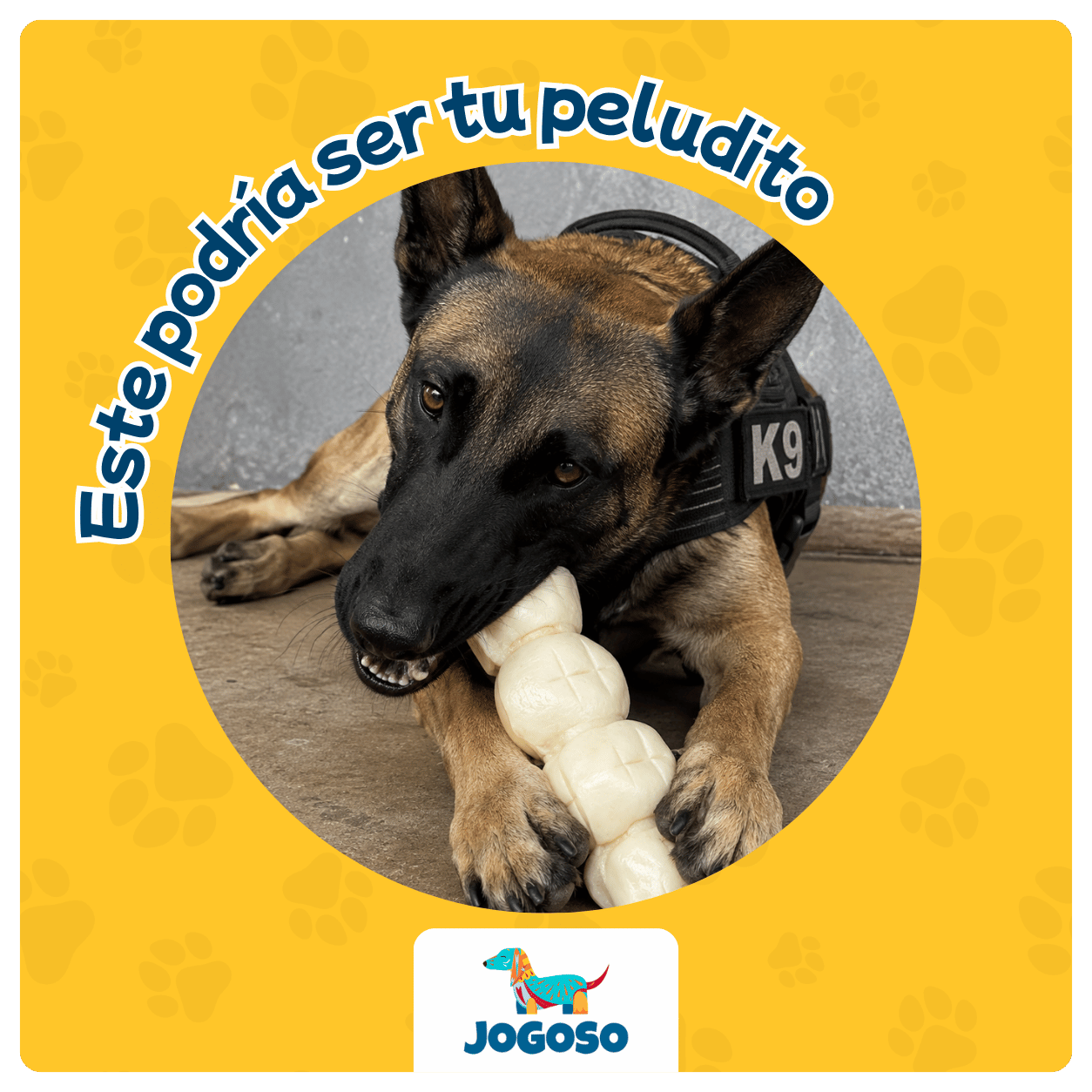 Rollo de Cachete de Res 6" para Perros