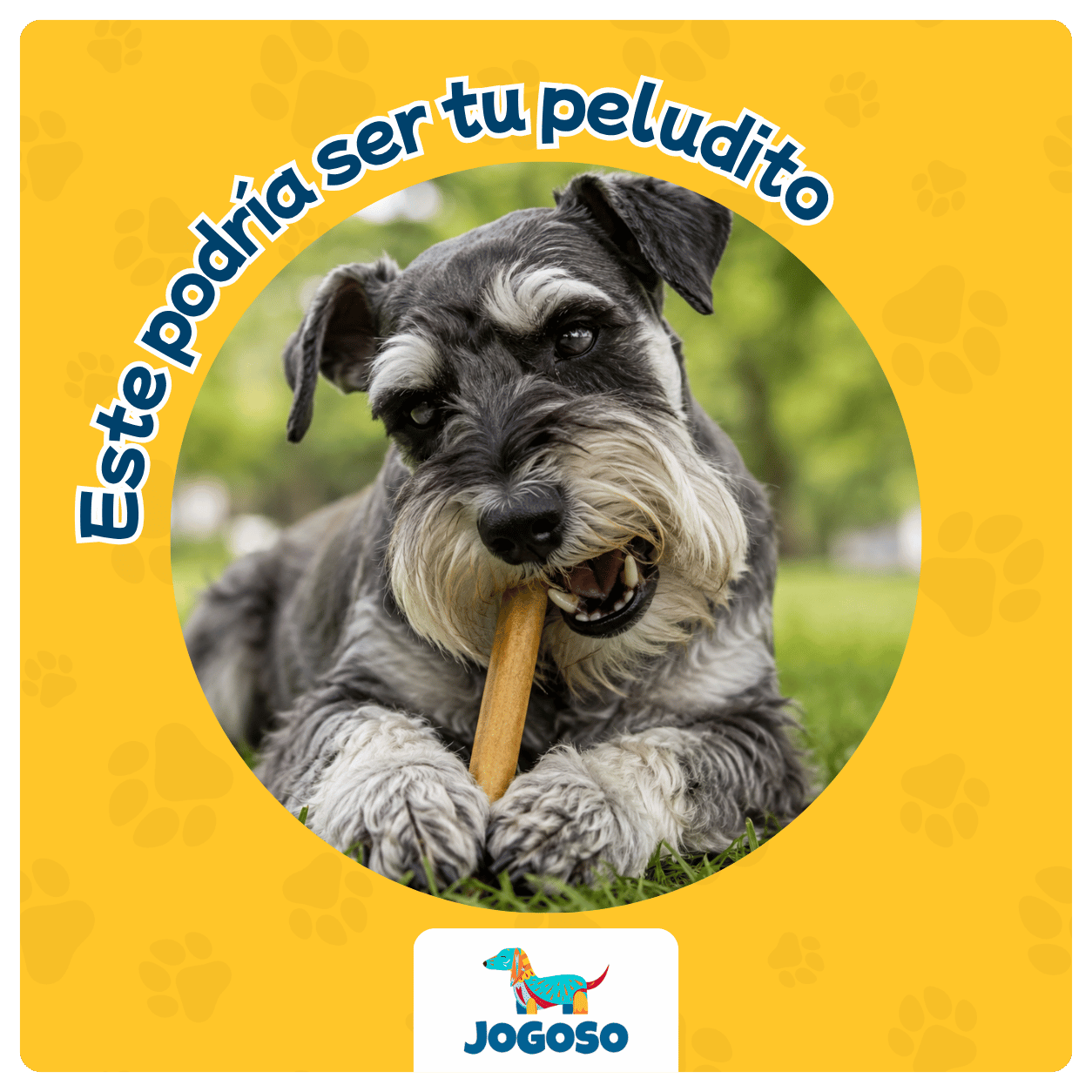Stick de Colágeno 6" para Perros