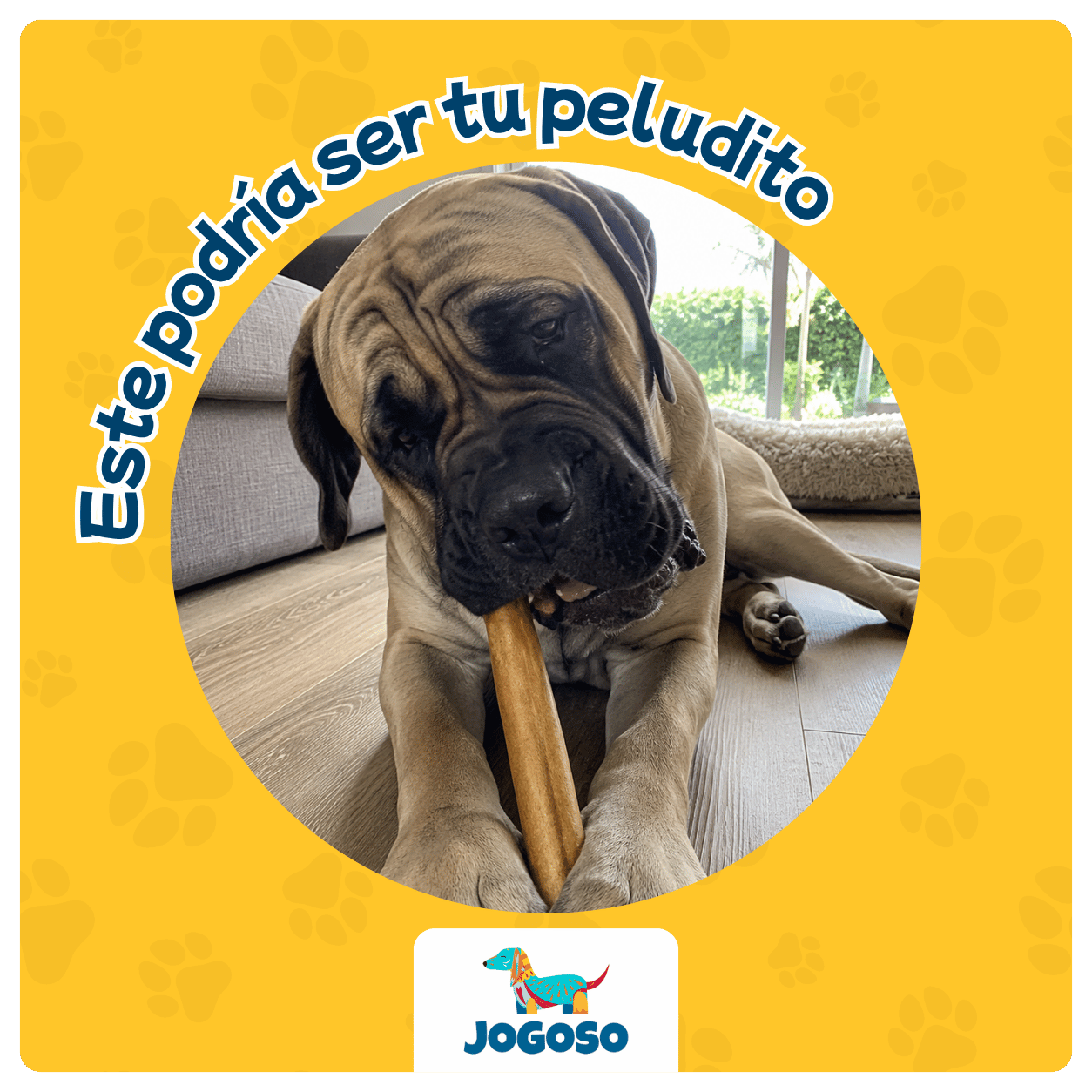Stick de Colágeno XL para Perros