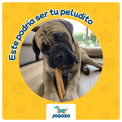 Stick de Colágeno XL para Perros