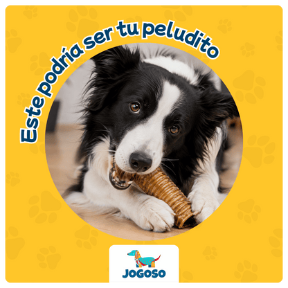Tráquea de Res Natural para Perros