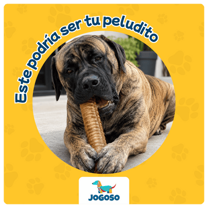 Tráquea de Res XL para Perros