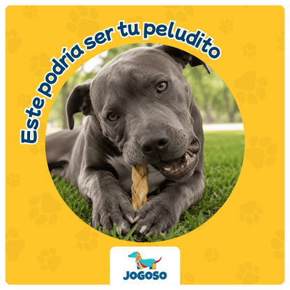 Trenza de Colágeno Natural para Perros