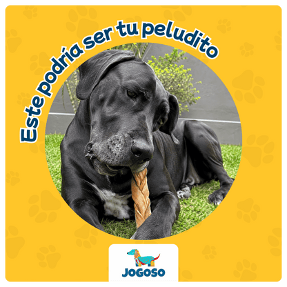 Trenza de Colágeno XL para Perros