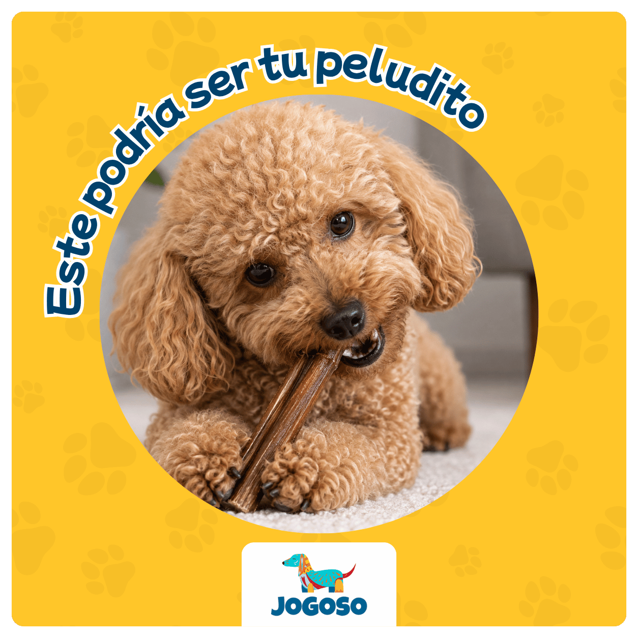 Bully Stick para Perros