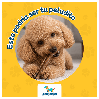 Bully Stick para Perros