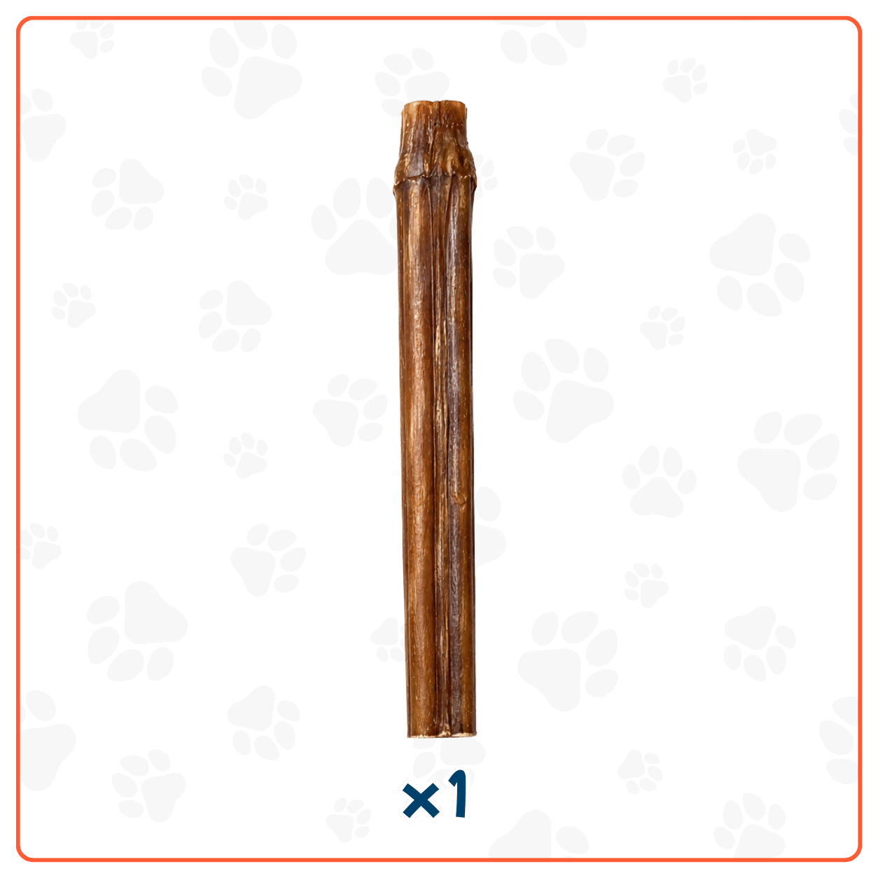 Bully Stick para Perros