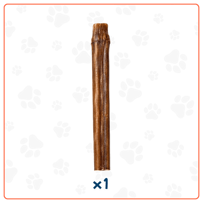 Bully Stick para Perros