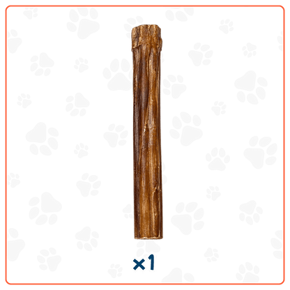 Bully Stick para Perros