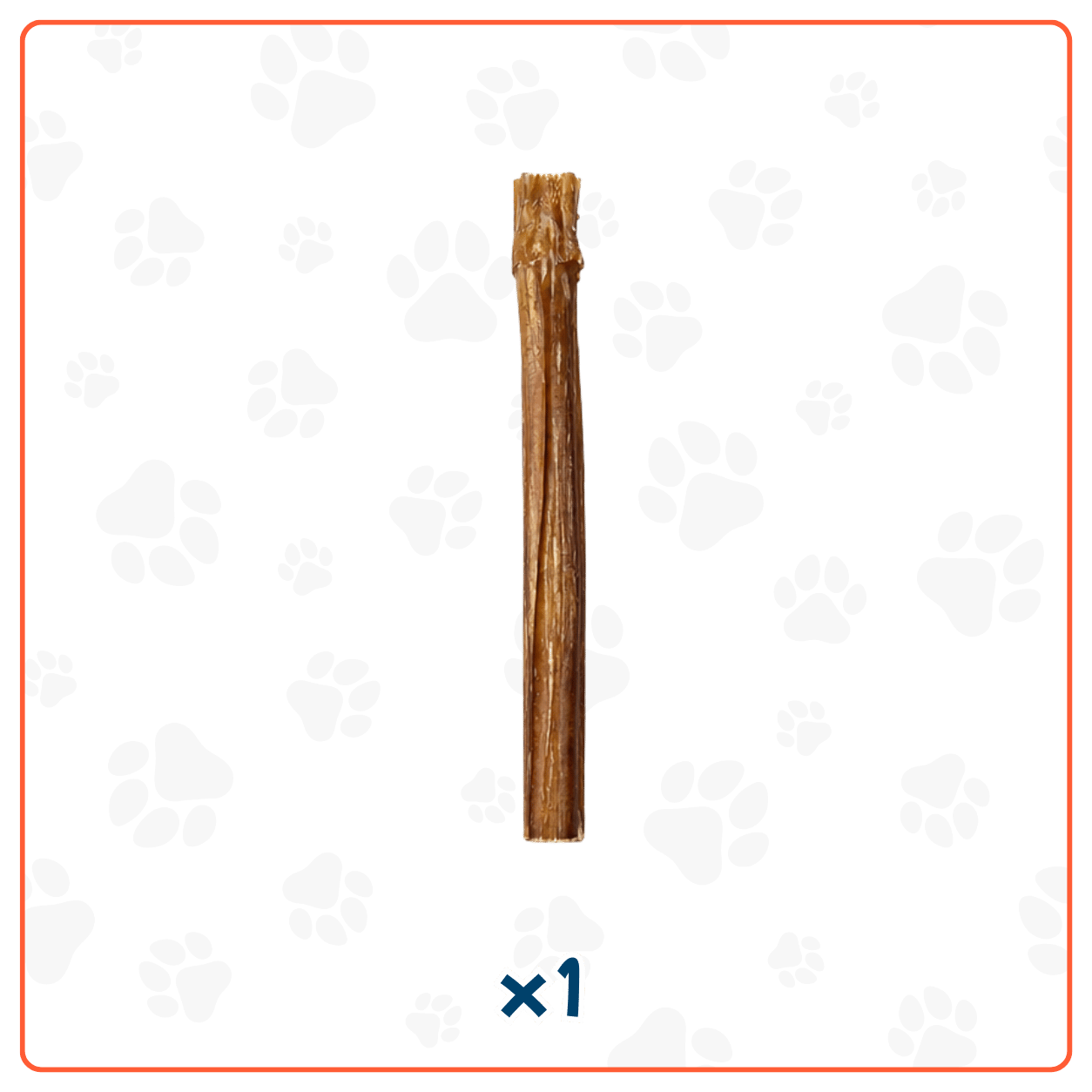 Bully Stick para Perros