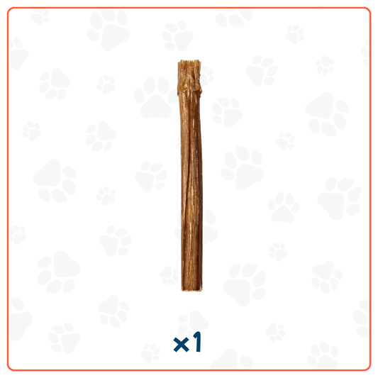 Bully Stick para Perros