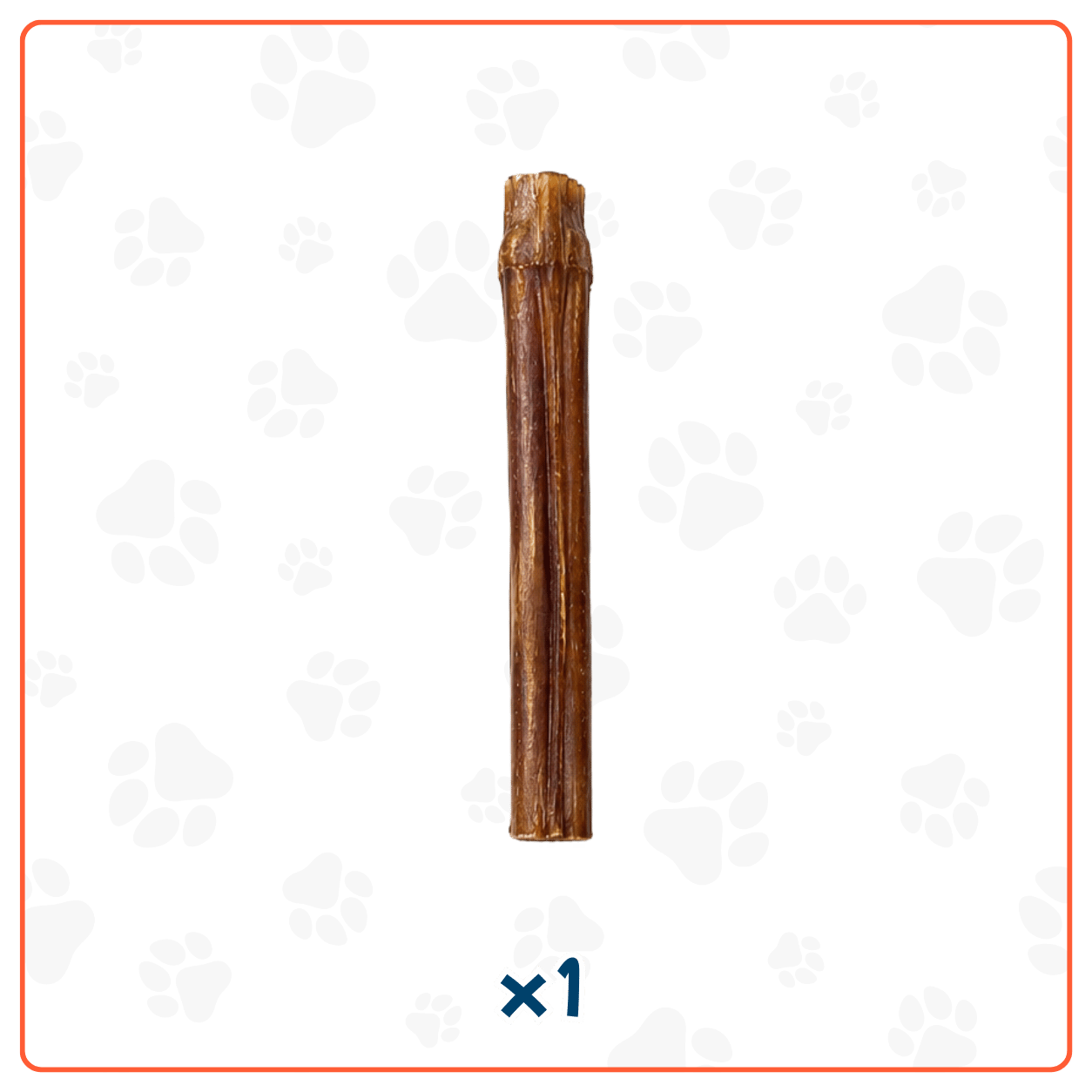 Bully Stick para Perros