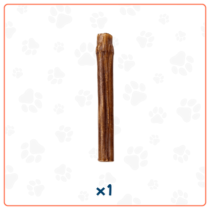 Bully Stick para Perros