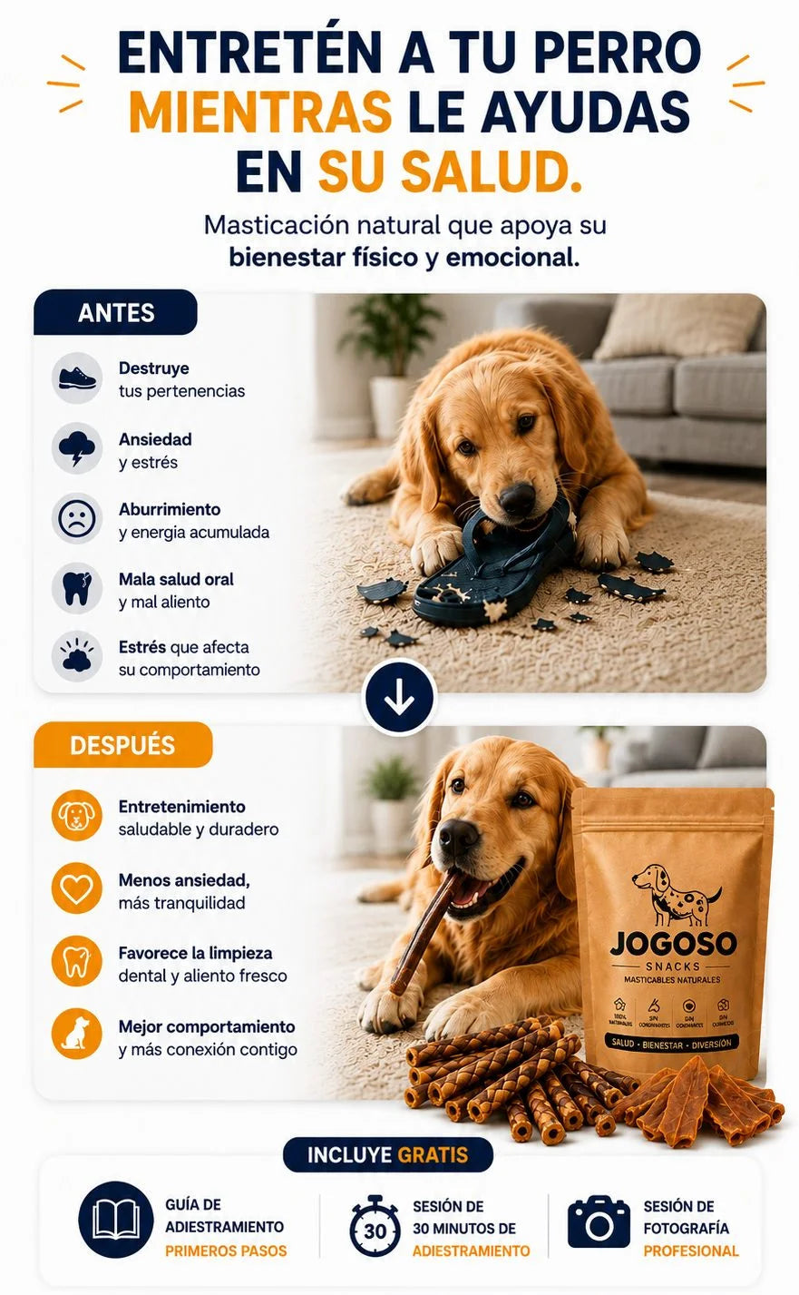 entretén a tu perro movil