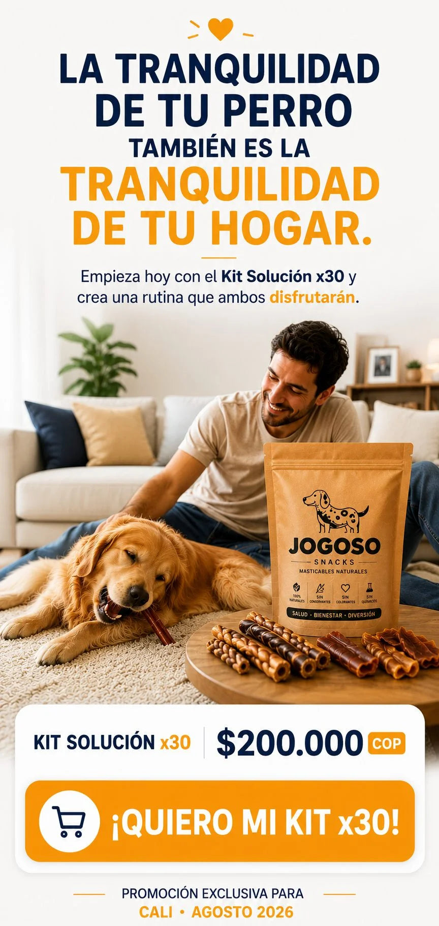 la tranquilidad de tu perro movil